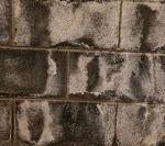 Dunwell Structural Repair photo 2